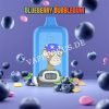 Blueberry Bubblegum 12k Fumot Digital Box 12000 Vfsdeiirt12000n2