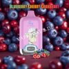 Blueberry Cherry Cranberry 12k Fumot Digital Box 12000 Vfsdeiirt12000n2