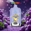 Grape Mint 12k Fumot Digital Box 12000 Vfsdeiirt12000n2