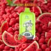 Raspberry Watermelon 12k Fumot Digital Box 12000 Vfsdeiirt12000n2